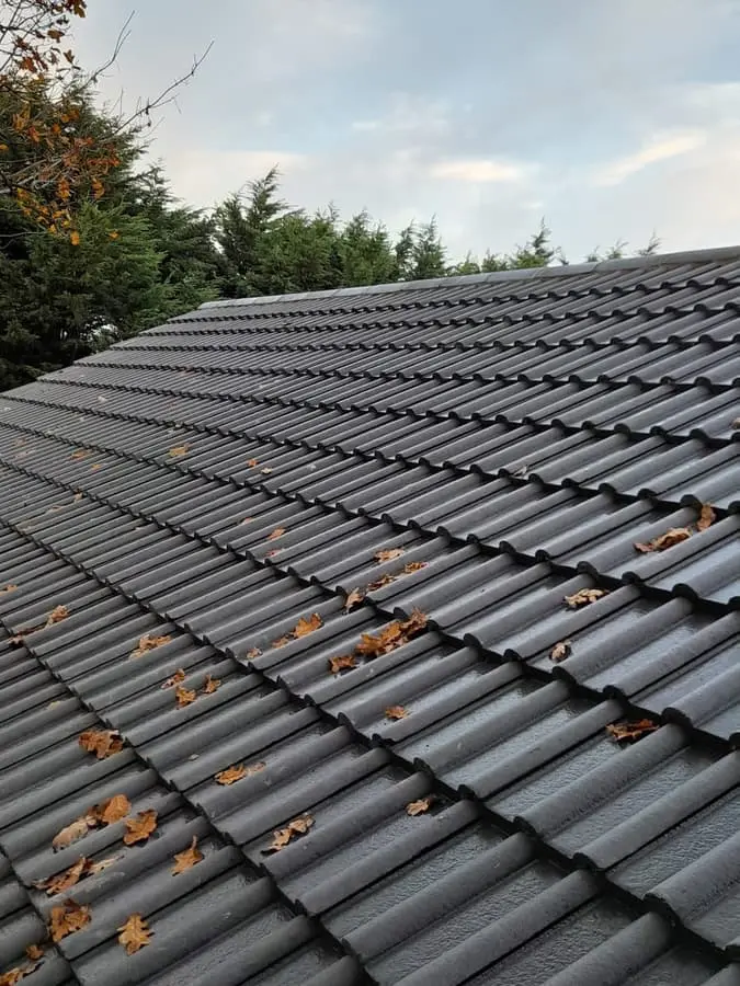 How Doctor Roofing Began in our service area
